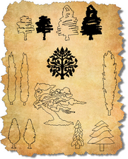 CAD Trees in Elevation